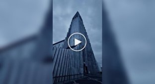 Красивое и удивительное (короткие видео). Выпуск 65
