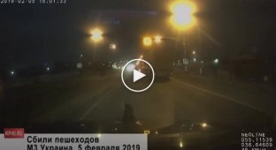 В Калужской области автомобиль сбил двух пешеходов