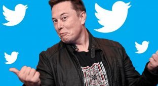 Without feminists and non-binary people: Elon Musk showed what the Twitter team looks like now (5 photos)