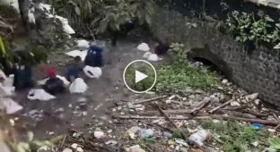 Caring Indonesians clean water bodies of garbage every day