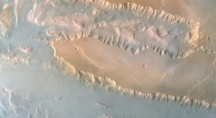 The giant "scar" of Mars (1 photo)