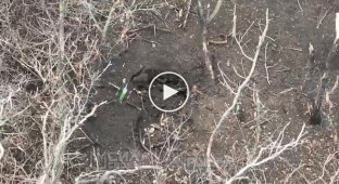 Бойцы 4-го батальона Сила Свободы НГУ Рубіж взяли в плен двух оккупантов
