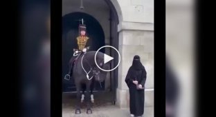 Horse did not want to take a photo with a woman in a burqa