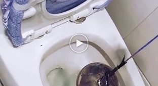 Гениальное изобретение для решения всем знакомой проблемы в туалете