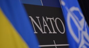 Когда Украина сможет вступить в НАТО