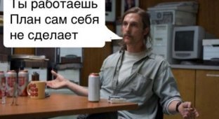 Поведение российских работодателей во время карантина (15 фото)