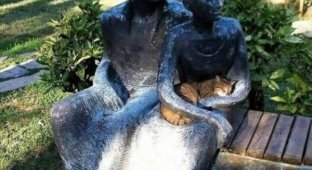Статуи - лучшие друзья для котов и кошек (14 фото)