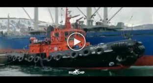 Рефрижераторное судно врезалось в портовый буксир на Камчатке (мат)