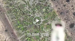 The work of the 25th Ukrainian airborne brigade in the Luhansk region