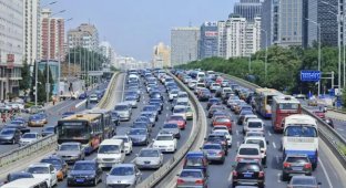 10 самых странных правил дорожного движения в мире (10 фото)
