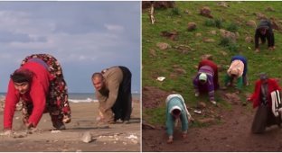 A family from Turkey that walks on all fours amazed the world (8 photos + 1 video)