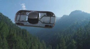 Tesla investors are going to produce flying cars (2 photos)