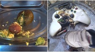 How not to heat up: 30 epic fails with microwaves (31 photos)