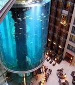 Самый большой аквариум в мире (10 фото)