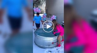 Самый безумный вариант гендер-пати показали блогеры из США