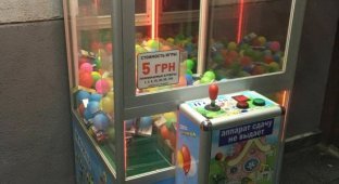 Игровой автомат с необычным наполнением (2 фото)