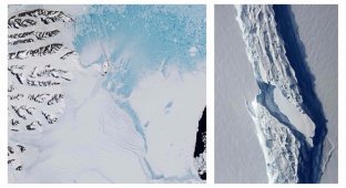 От Антарктиды откололся гигантский айсберг (9 фото)