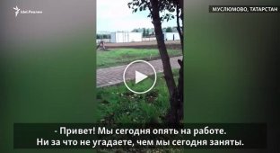 В Татарстане учителей заставили мыть деревья