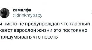 Подборка забавных твитов обо всем. Выпуск 761 (41 картинок)