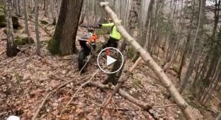 Неожиданная встреча мотоциклистов с медведем в лесу
