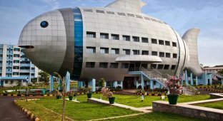 Дом-рыба в Индии (5 фото)