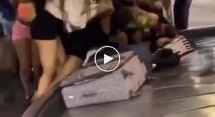A flock of monkeys attacked passengers at the airport. USA