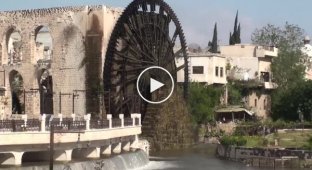 Підйом води за допомогою норію у сирійському місті