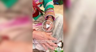 Ремесло «вогненної трави»: як в Китаї перетворюють пух гербери на міцну тканину