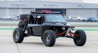 Desert Dynamics buggy with a Chevrolet V8 engine that can drive on public roads (24 photos + 1 video)
