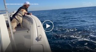 Встреча пса с китами