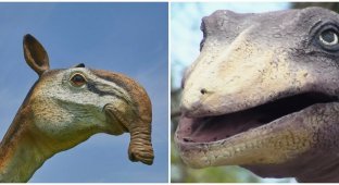 Drunkard and irritant: German scientists demanded to rename dinosaurs because of offensive and stupid names (4 photos)