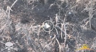 Ukrainian kamikaze drones attack Russian infantry in the Donetsk region