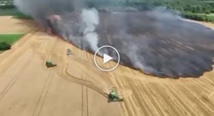 Вот так украинские аграрии в этом году собирают урожай