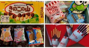 20 delicacies from Japan that have become popular in other countries (21 photos)
