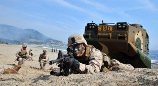 Американо-южнокорейские военные учения в Пхеньян (13 фото)