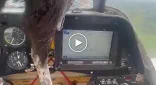 The pilot filmed the consequences of a bird collision with the windshield of the aircraft