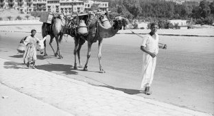 Атмосфера стремительно меняющегося Каира в 1900 – 1936 годах (32 фото)
