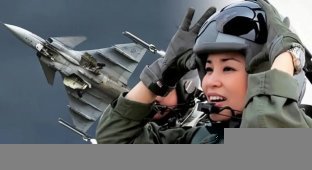 Королева Таиланда впервые в одиночку подняла в воздух истребитель Gripen (1 фото + 2 видео)