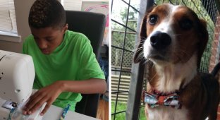 Мальчик-предприниматель нашел необычный способ помочь бездомным животным (9 фото)