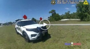 Американец предложил полицейскому выпить алкогольный коктейль во время погони