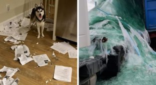 30 People Whose Working Day Hasn't Worked Seriously (31 Photos)