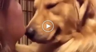 Трогательная реакция пса на то, что его забрали из приюта