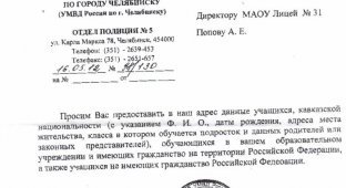 Официальный запрос в челябинский лицей (2 скриншота)