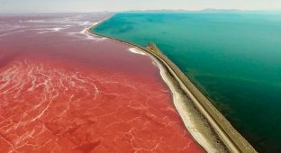 Blue-Red Lake: Why are parts of the Great Salt Lake different colors? (3 photos)