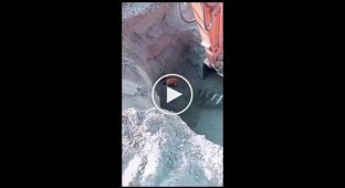 The excavator pulled the dog out of the pit