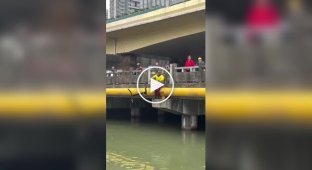 Испытание гидрофойла под мостом закончилось падением в воду