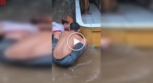 In Thailand, a giant python was caught on a flooded street