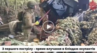 In the direction of Zaporozhye, fighters of the "Red Kalina" brigade destroyed a bunker with orcs
