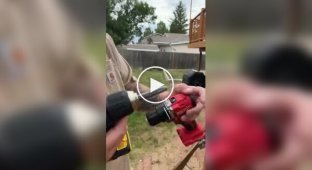 Battle between screwdrivers:_ DeWalt vs. Milwaukee