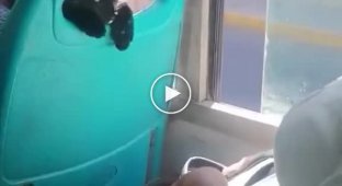 Кіт вимагає віддати сумку